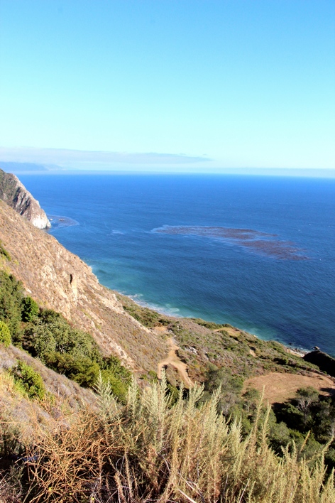 ��������� ����������